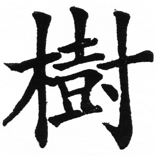 (2/2)風行正楷銅模初號「樹」字體