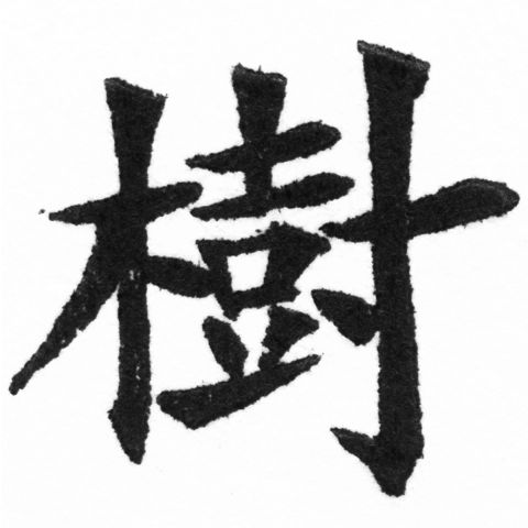 (2/2)風行正楷銅模新初號「樹」字體