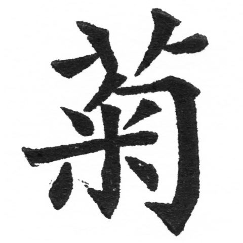 (2/2)風行正楷銅模新初號「菊」字體
