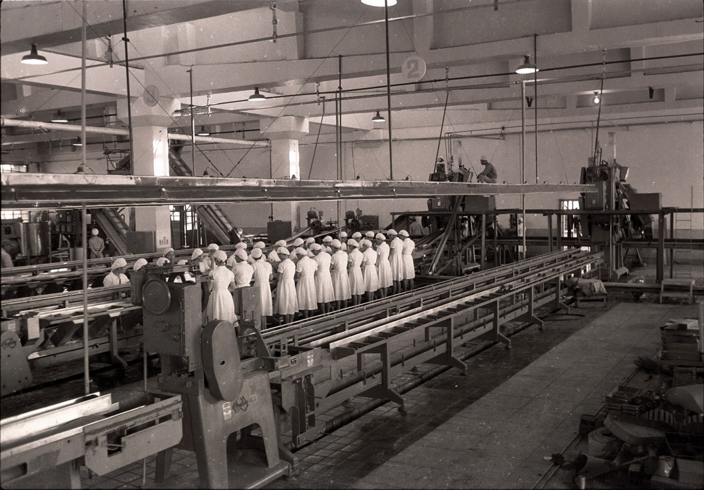 Inside the pineapple factory, Taitung sugar factory 8