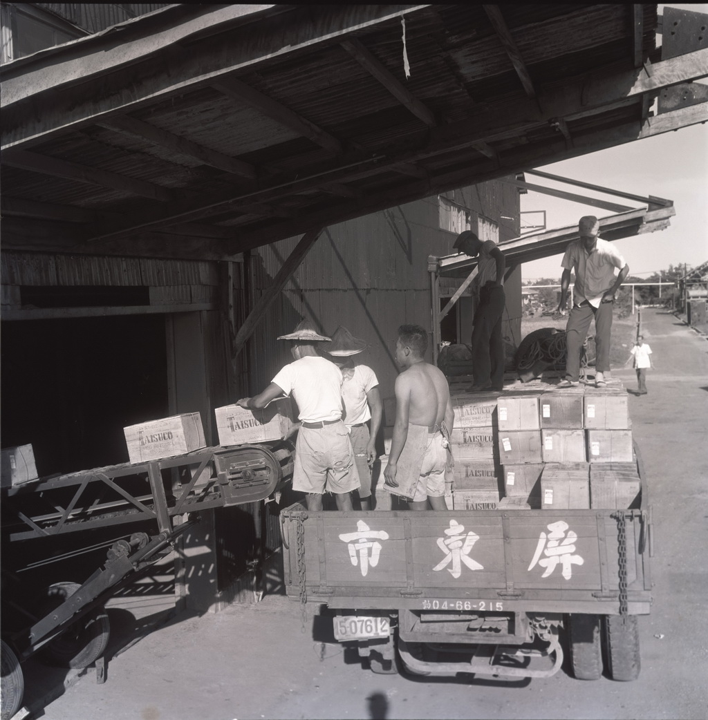 Transporting and selling the Taitung pineapples 4