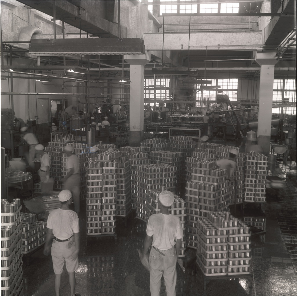 Packaging the pineapple cans 3