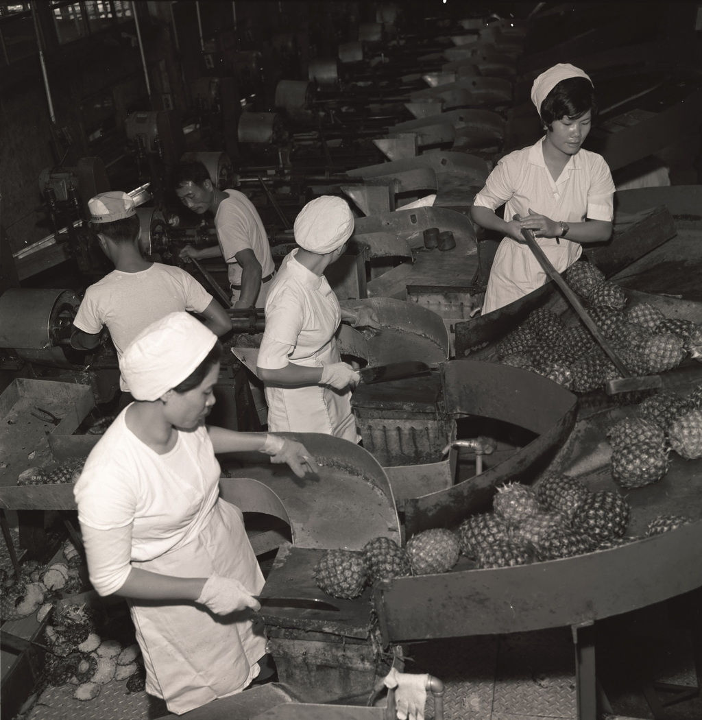 Taitung Pineapple Factory 44