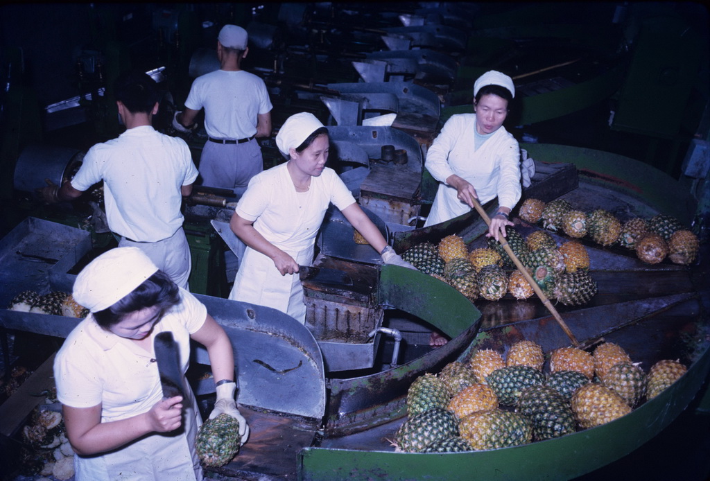 Working scene in the pineapple factory, 2