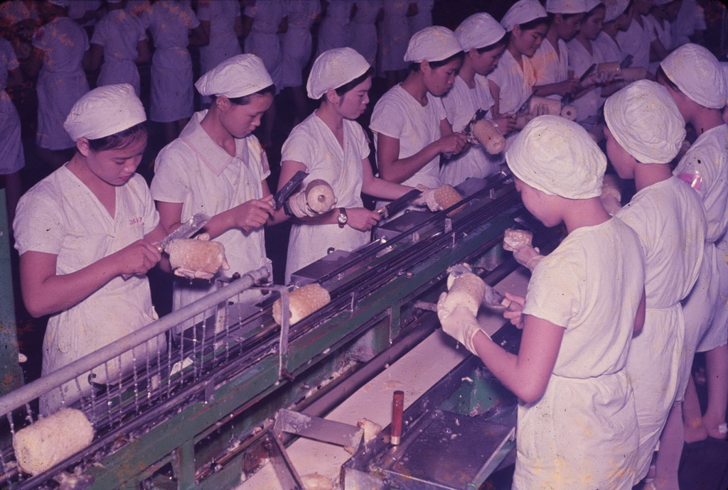 Working scene in the pineapple factory, 4