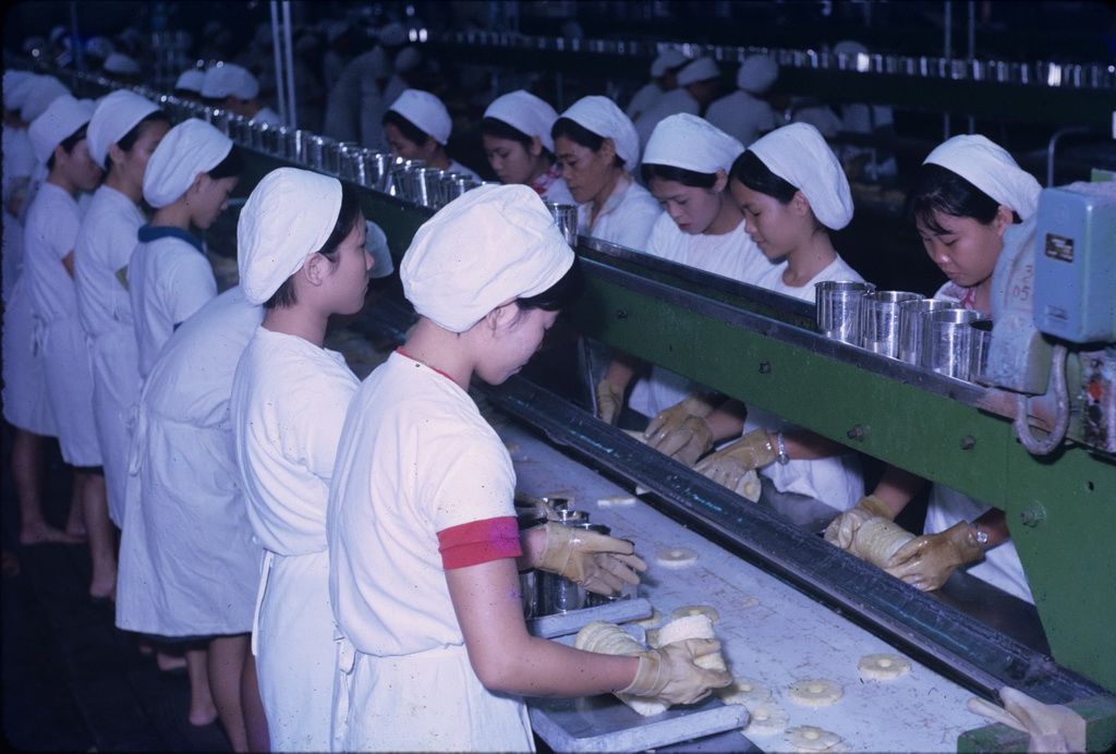 Working scene in the pineapple factory, 5