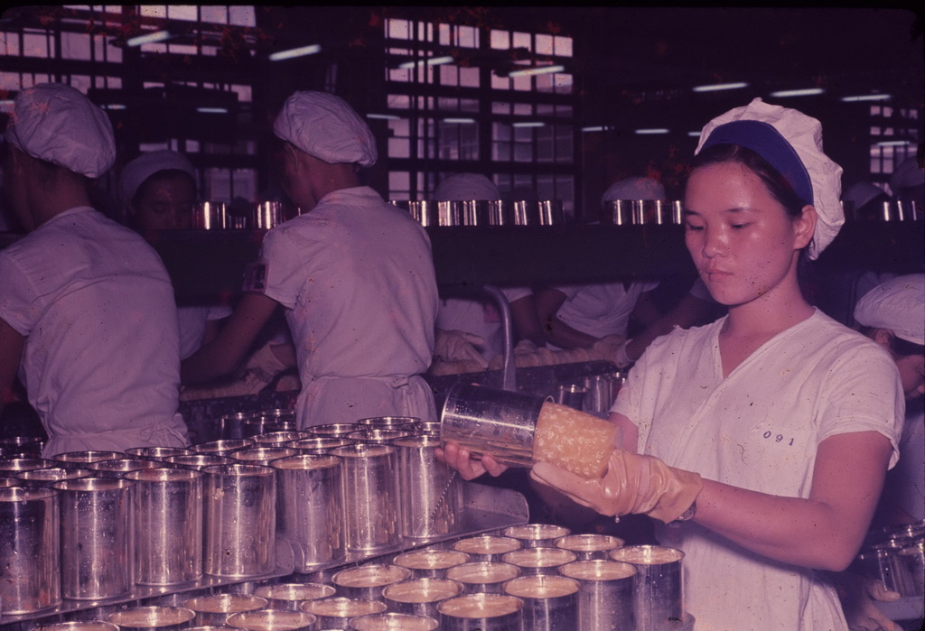 Working scene in the pineapple factory, 13