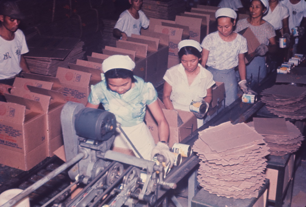 Working scene in the pineapple factory, 23